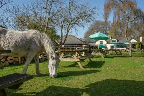 The High Corner Inn